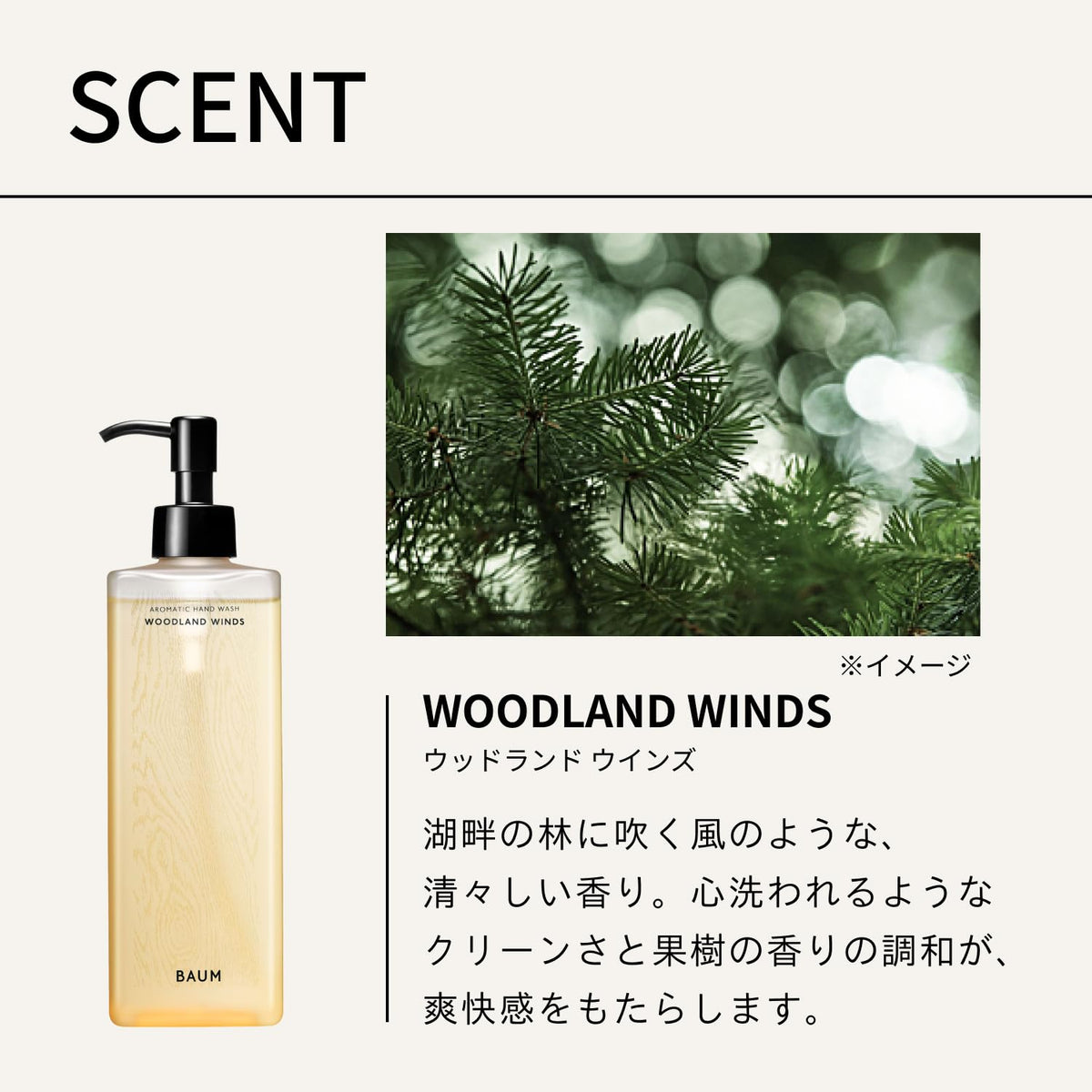 BAUM Aromatic Hand Wash n 300mL, Woodland Winds Hinoki