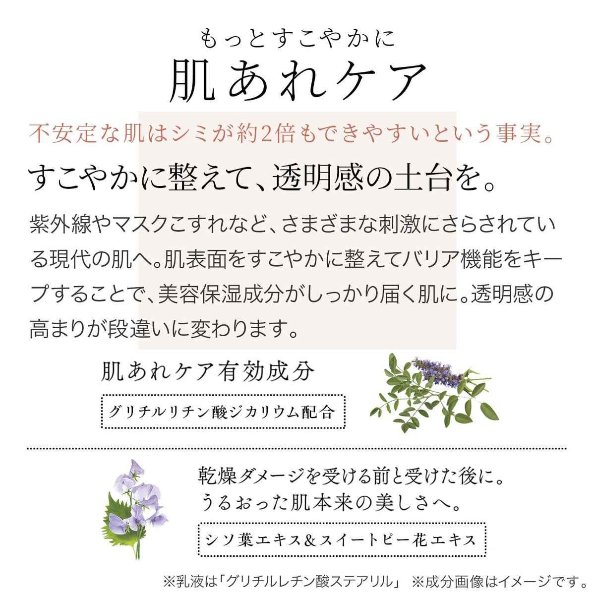 FANCL Brightening Lotion+Emulsion Set — Preservative-Free Moisture
