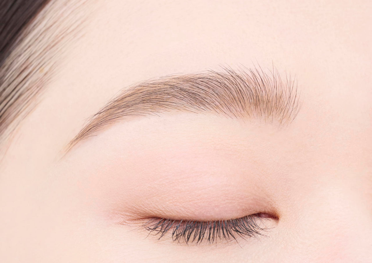 Dejavu Stay Natura F Powder Pencil Eyebrow, Waterproof Twist-Up Brow Pencil with Oval Lead and Brush, 6 Shades