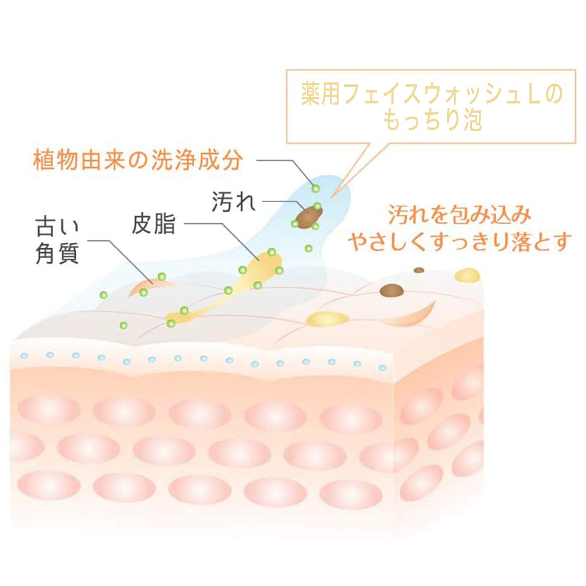 ROHTO Atorrege AD+ Face Wash L