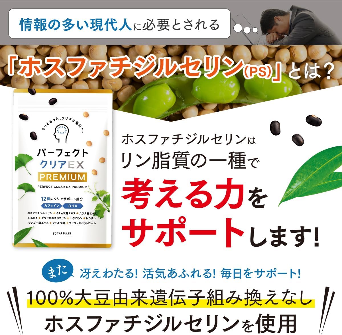 Perfect Clear EX Premium Phosphatidyl Serine PS Ginkgo Biloba Leaf Mucuna Bean Supplement GABA DHA Tyrosine Lecithin Capsules (90 Capsules for 30 Days), Made in Japan