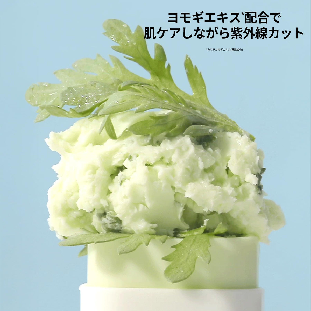 Beauty of Joseon Matte Sun Stick Mugwort + Camelia, SPF50+ PA++++ Low-Irritation Sunscreen Stick, 18 g