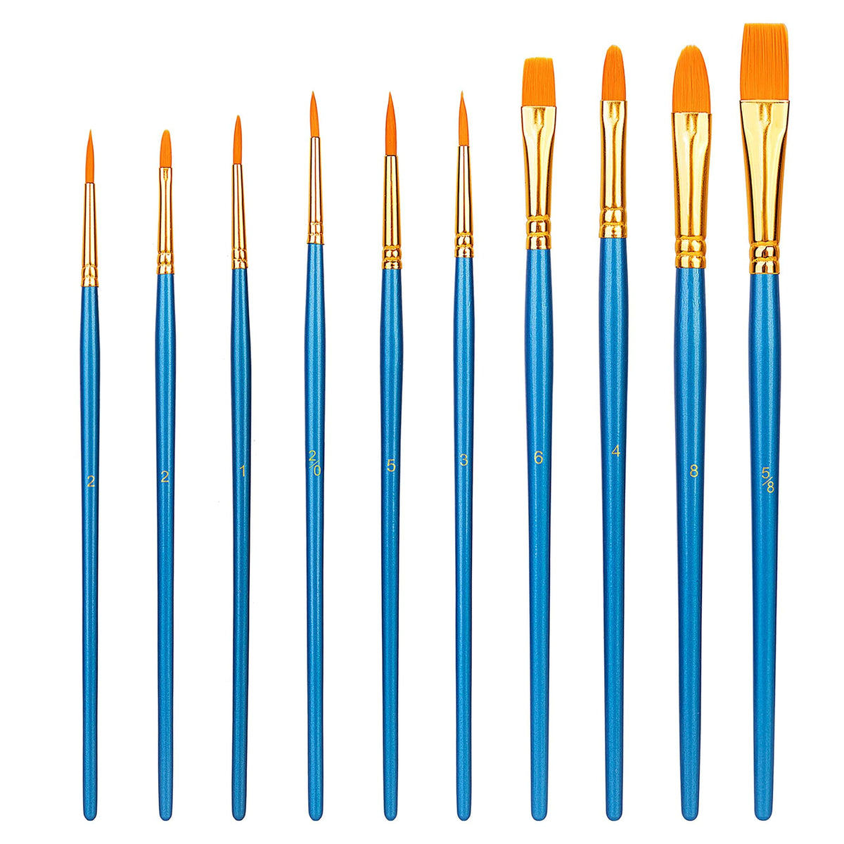 Amazon Basics Paint Brush Set of 10, Blue Wooden Handles with Soft PBT Bristles in Round, Filbert, Flat and Liner Shapes, 17.5 to 19.5 cm, for Watercolour, Acrylic and Oil