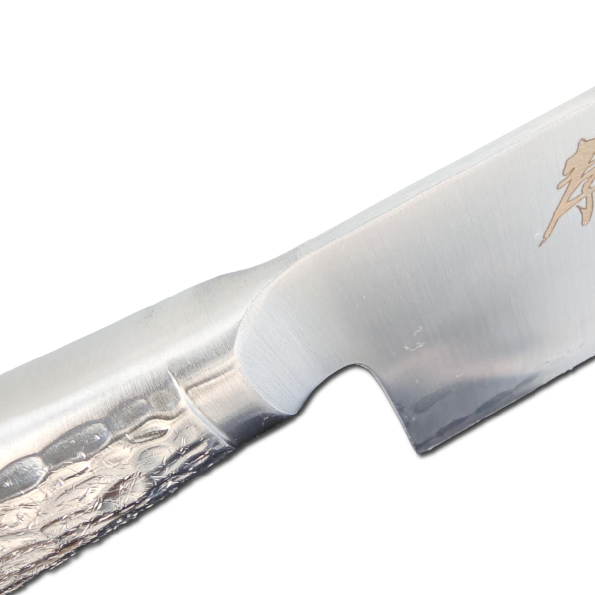 Sakai Takayuki INOX-PRO Gyuto 270mm Knife