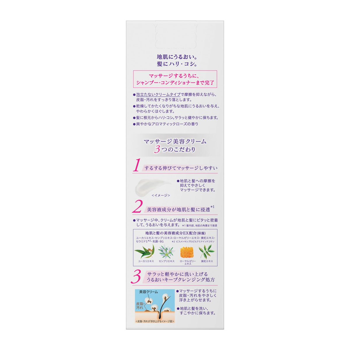 Kao Segreta Washable Scalp Massage Beauty Cream, Cleansing Conditioner, Aromatic Rose, 360mL Pump / 285mL Refill