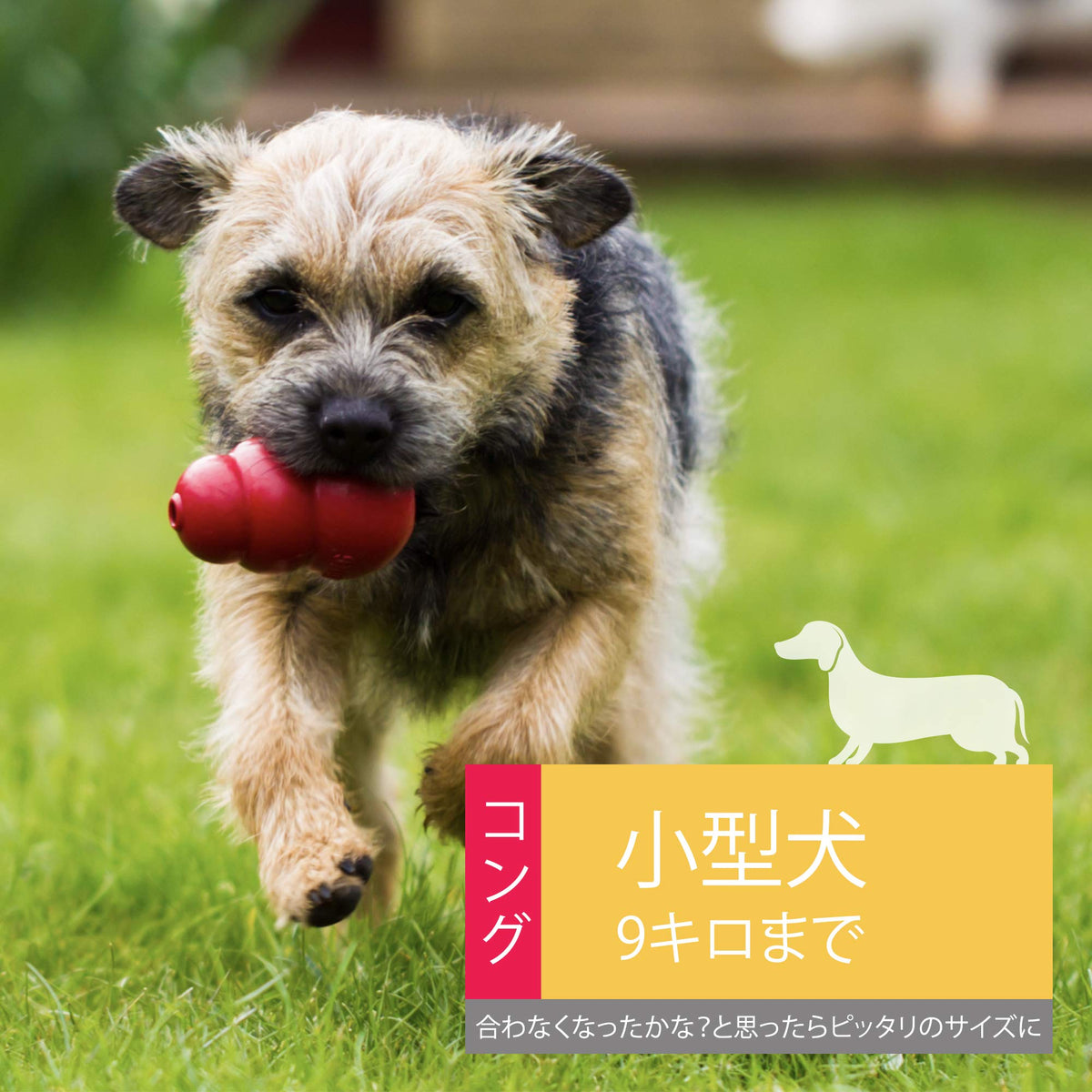 KONG Classic Dog Toy Size S for Small Dogs up to 9 kg, Red Natural Rubber Fillable Chew and Enrichment Toy, Made in USA
