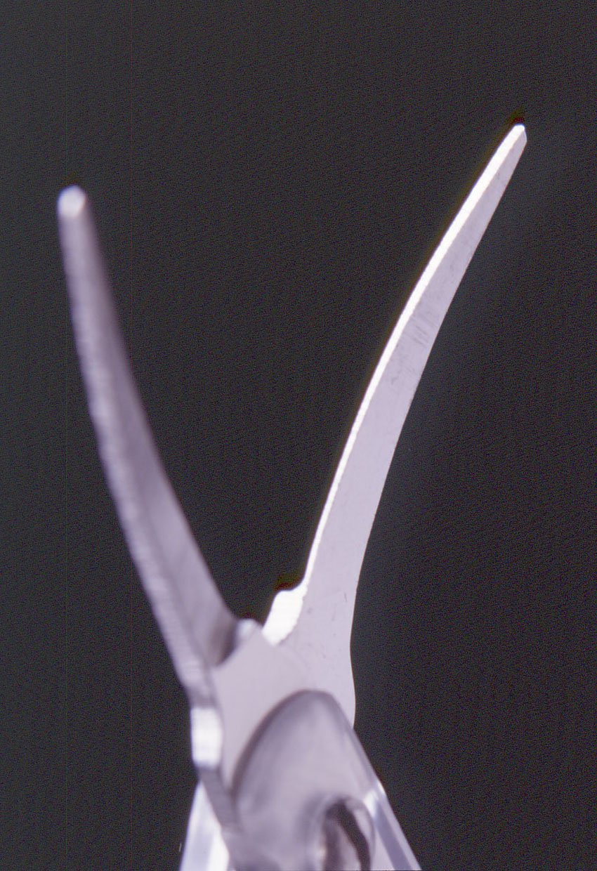 Green Bell Takumi no Waza Eyebrow Scissors with Cap, 87 mm Curved Thin Stainless Blade for Cutting Close to the Brow Roots