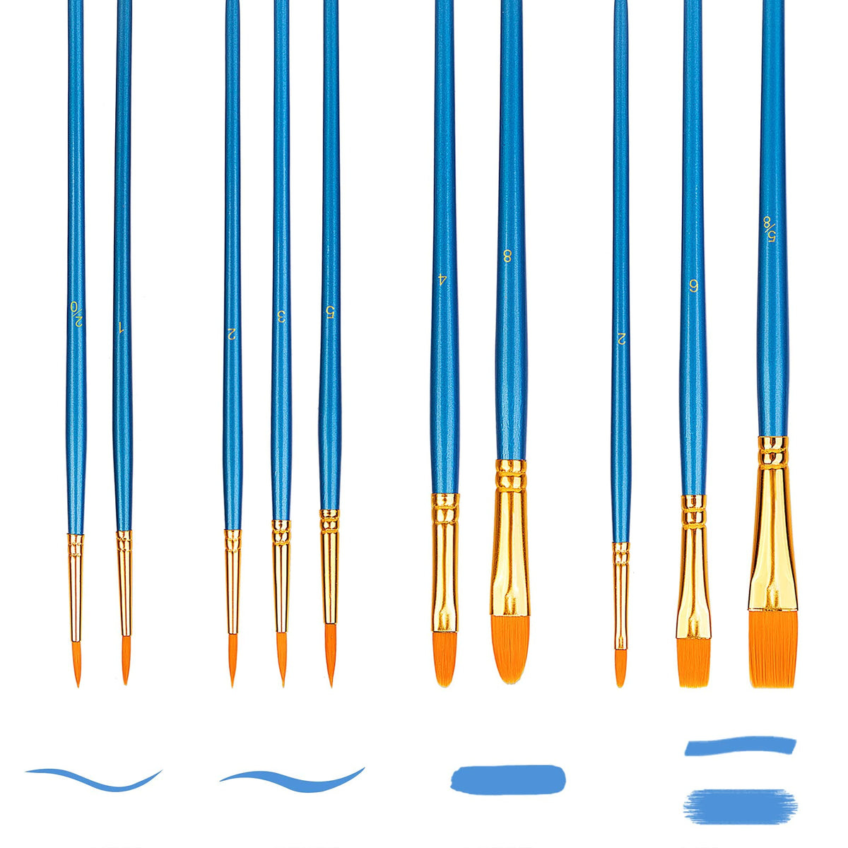 Amazon Basics Paint Brush Set of 10, Blue Wooden Handles with Soft PBT Bristles in Round, Filbert, Flat and Liner Shapes, 17.5 to 19.5 cm, for Watercolour, Acrylic and Oil