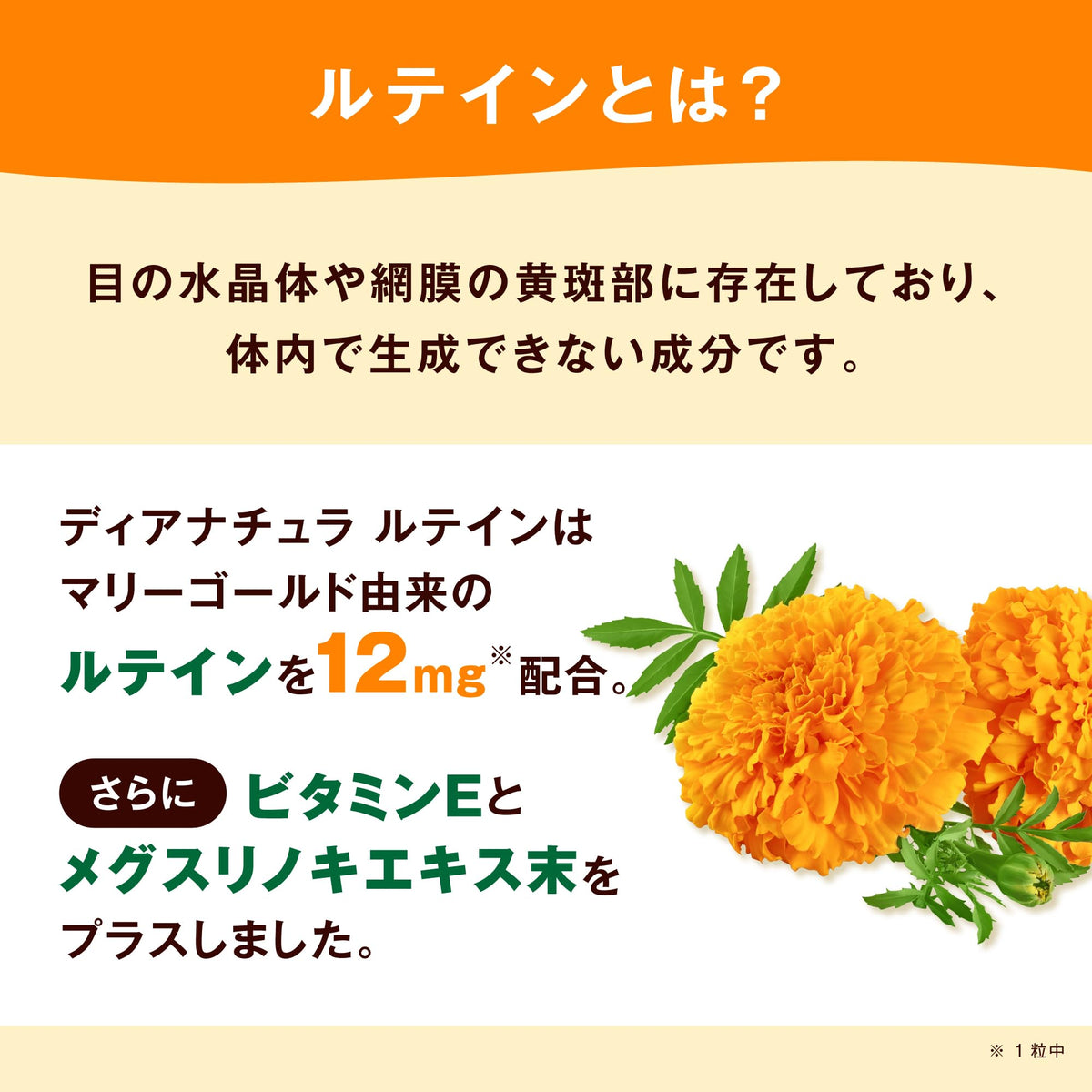 Lutein 12 mg with Acer Nikoense Extract and Vitamin E 40 mg, Value Pouch of 60 Soft Capsules for 60 Days, One Capsule a Day