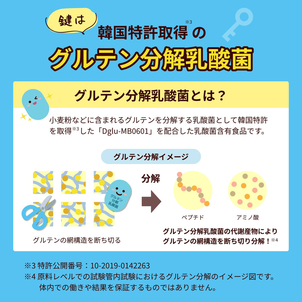 Nihon Yakken Gluten Guard – Lactobacillus + Enzymes Probiotic