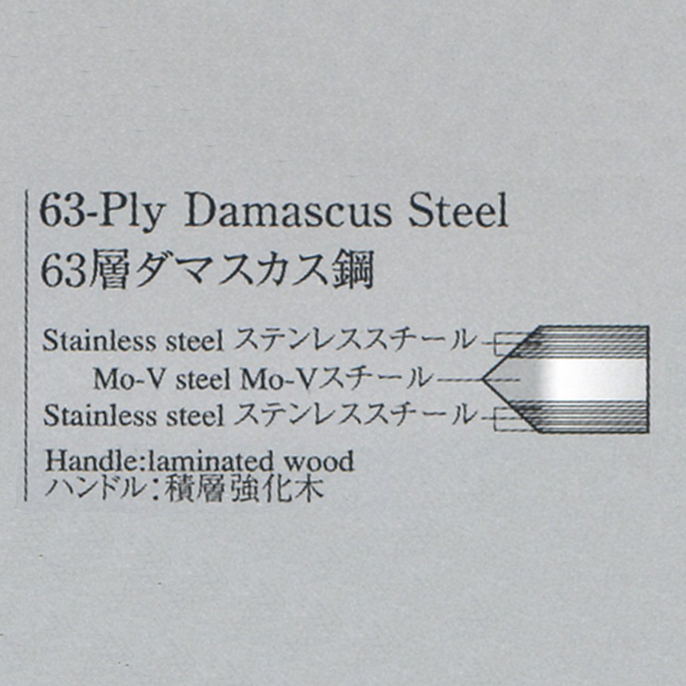 Tamahagane Kyoto 63-Layer Damascus Gyuto 210mm