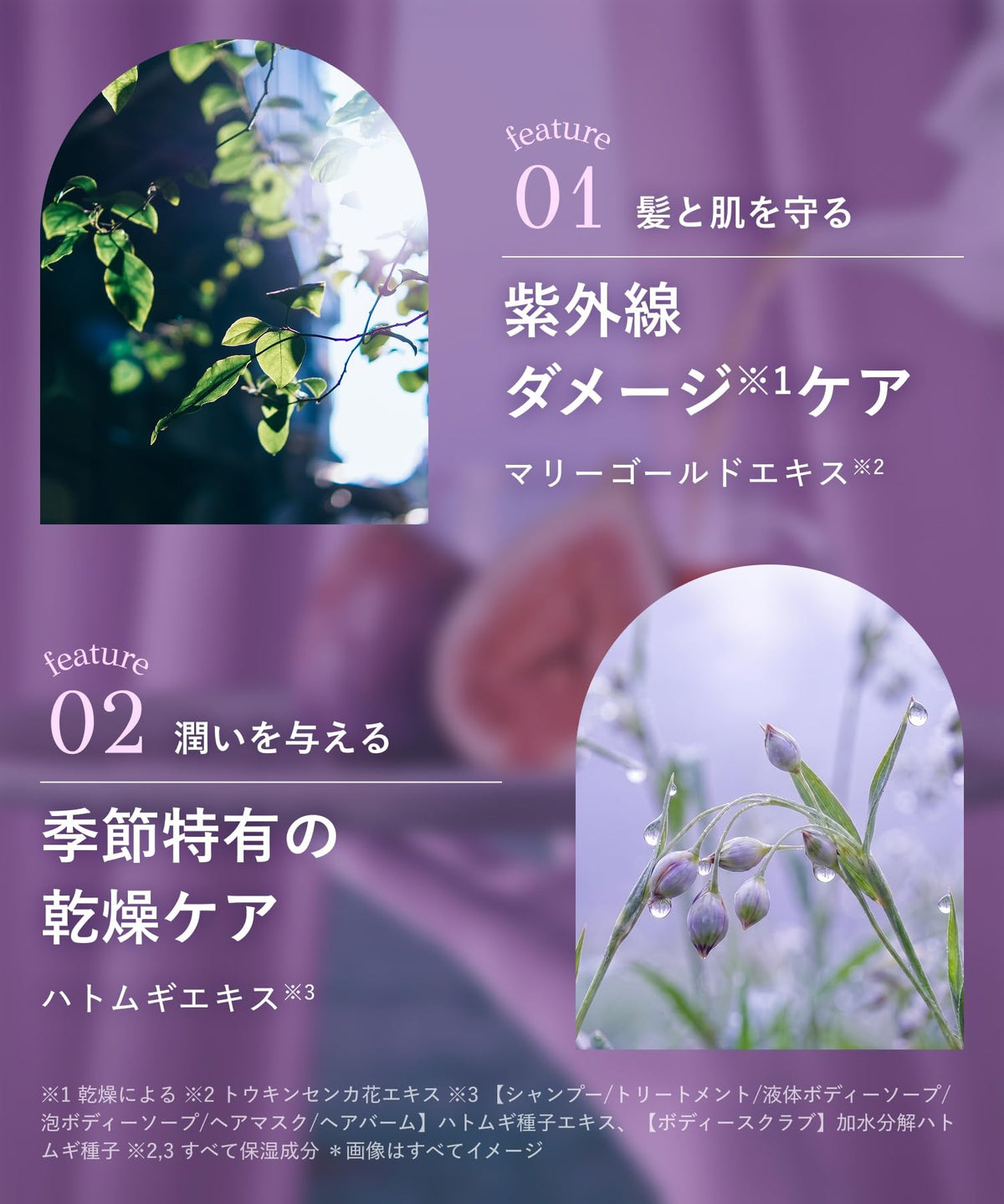 BOTANIST Botanical Hair Mask Daily Damage Repair 200 g, Rinse-Off Treatment Mask with Fig Ferment Extract and Ceramides, Fig and Darjeeling Tea Scent, Limited Edition