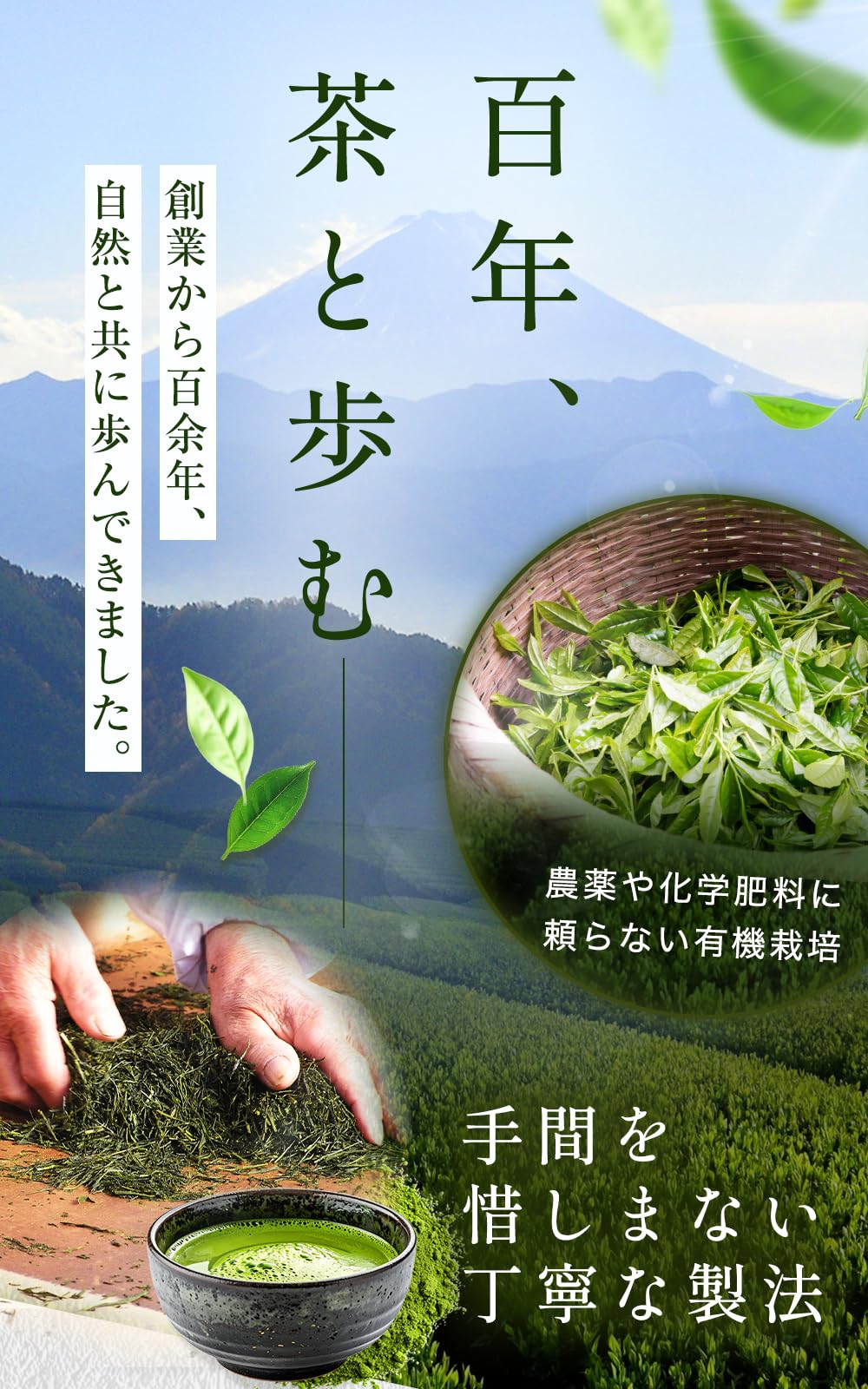 Kippoya Organic Matcha Powder From Shizuoka, Miyabi 35 g Or Nagomi 80 g