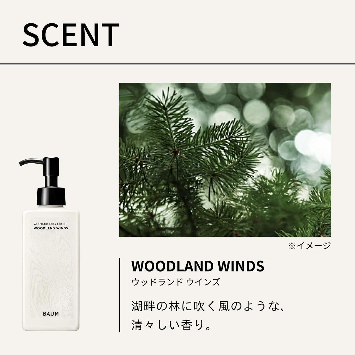 BAUM Aromatic Body Lotion — 3 Forest Scents, 180mL