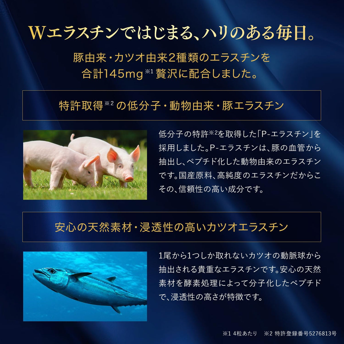Double Elastin Capsules with Pork and Bonito Elastin 145 mg and Coenzyme Q10, 120 Capsules for 30 Days, Made in Japan