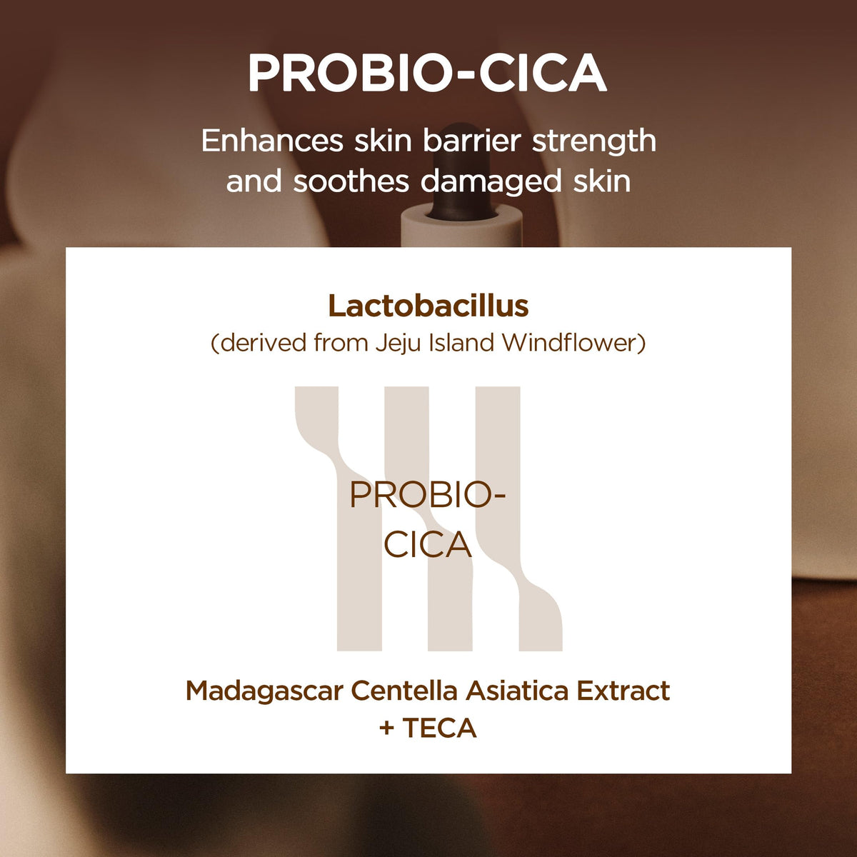 SKIN1004 Madagascar Centella Probio-Cica Intensive Ampoule, Fermented Centella and Ceramide Barrier Ampoule for Sensitive Skin, 50 mL