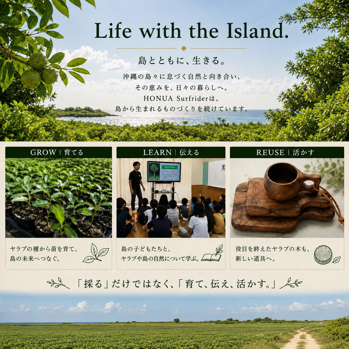 HONUA Surfrider Yarabu Deep Oil, 100% Tamanu Seed Oil