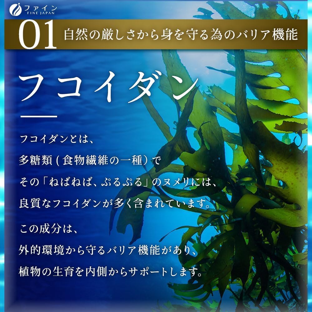 Fine Japan Kelp Root Extract Tablets with Mekabu Fucoidan, Hokkaido Kelp Root with Iodine, Iron and Magnesium, Lightly Salted, 500 Tablets for 50 Days