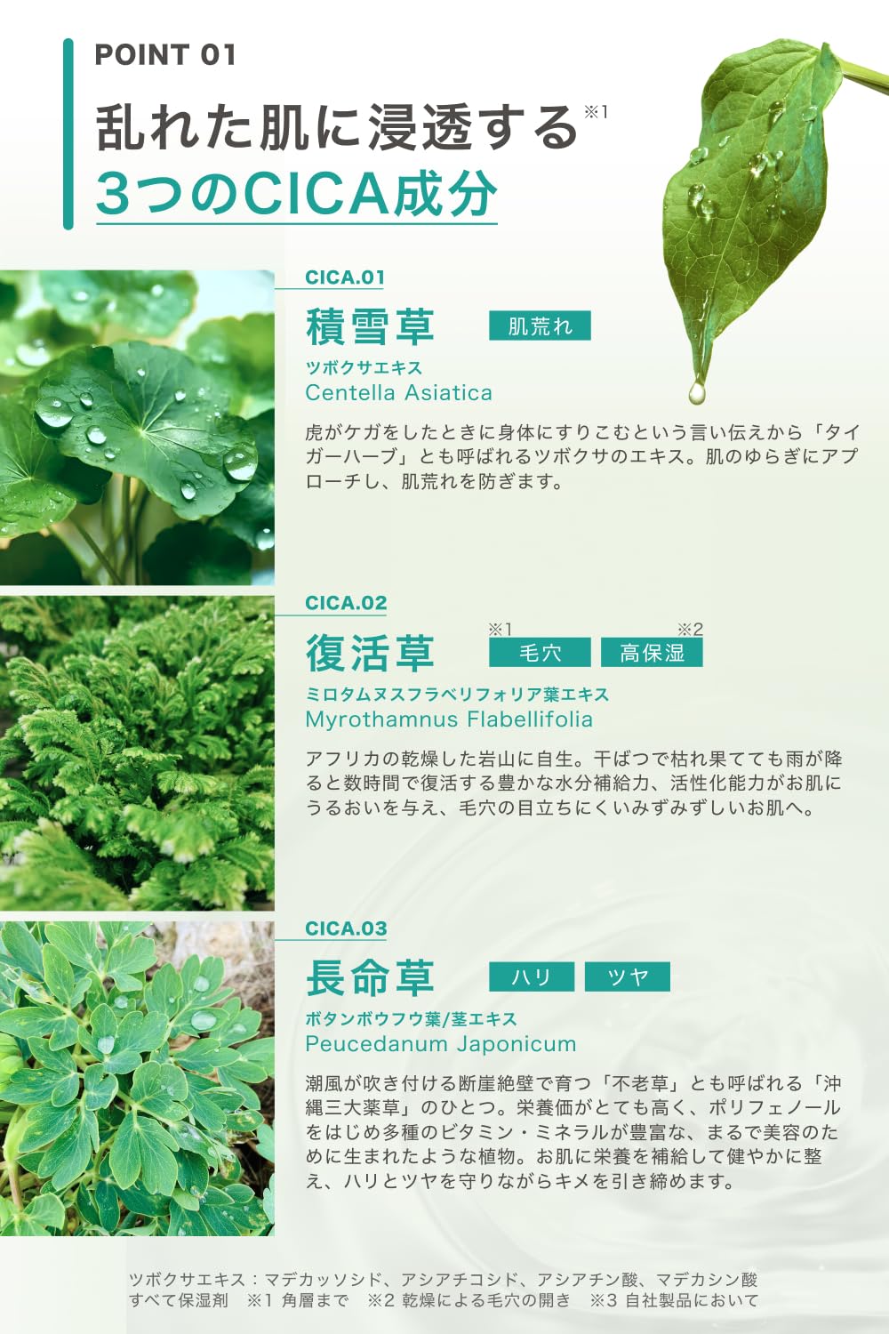 Kinui Calm-7 Soothing Serum 30 mL, Centella, PDRN, Niacinamide and Tea Tree Face Serum for Oily, Blemish-Prone Skin, Fragrance-Free and Alcohol-Free