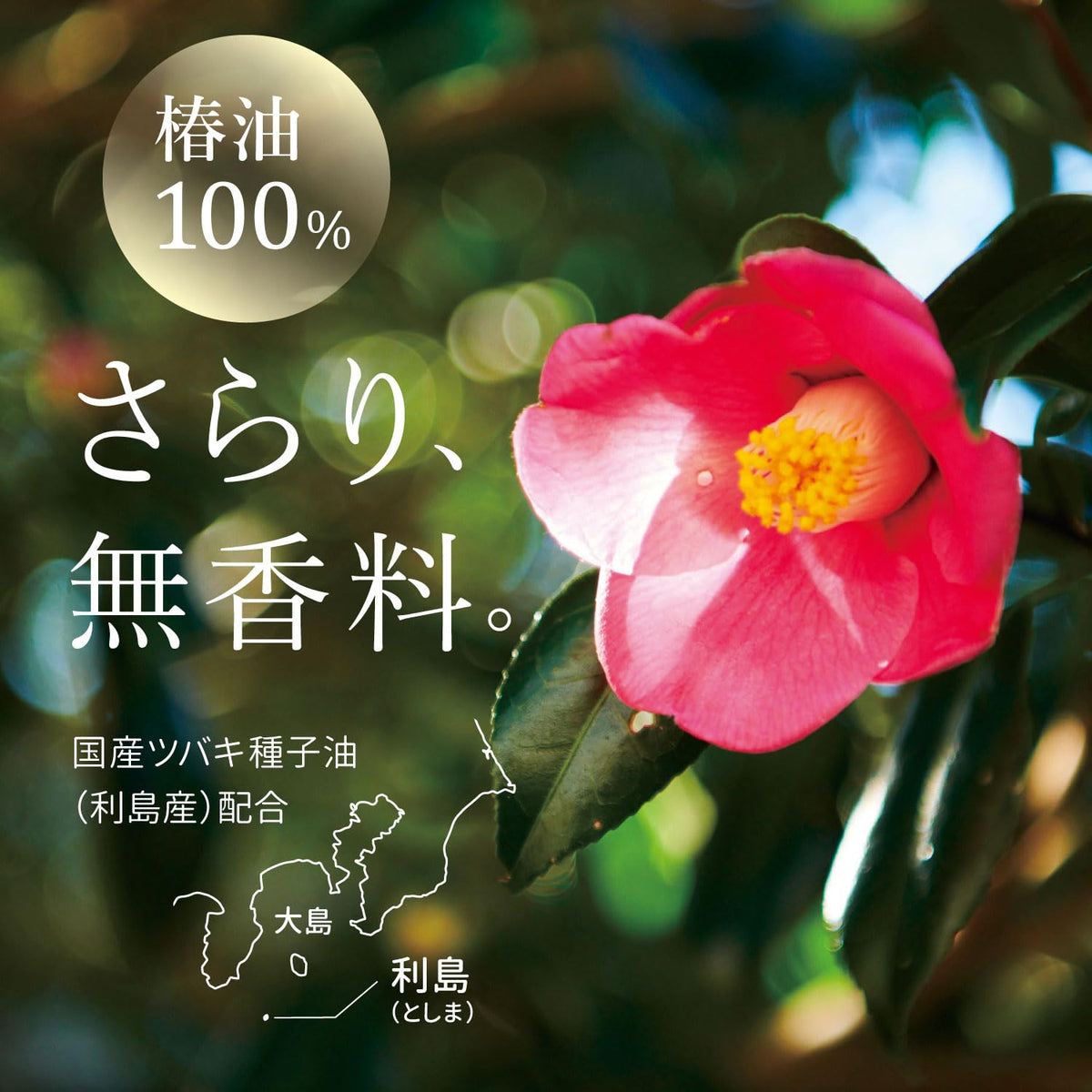 Honjima Tsubaki Pure Camellia Oil, 118 mL 100 Percent Camellia Seed Oil for Hair, Scalp, Skin and Nails, Fragrance-Free and Additive-Free, with a Free Hair Cap