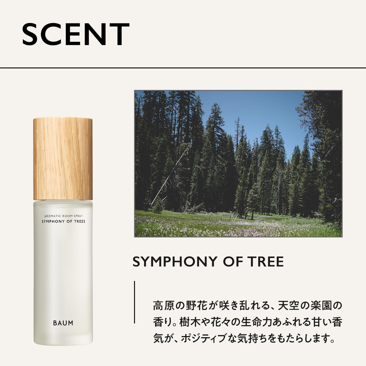 BAUM Aromatic Room Spray — Tree-Scented Room Fragrance 100ml
