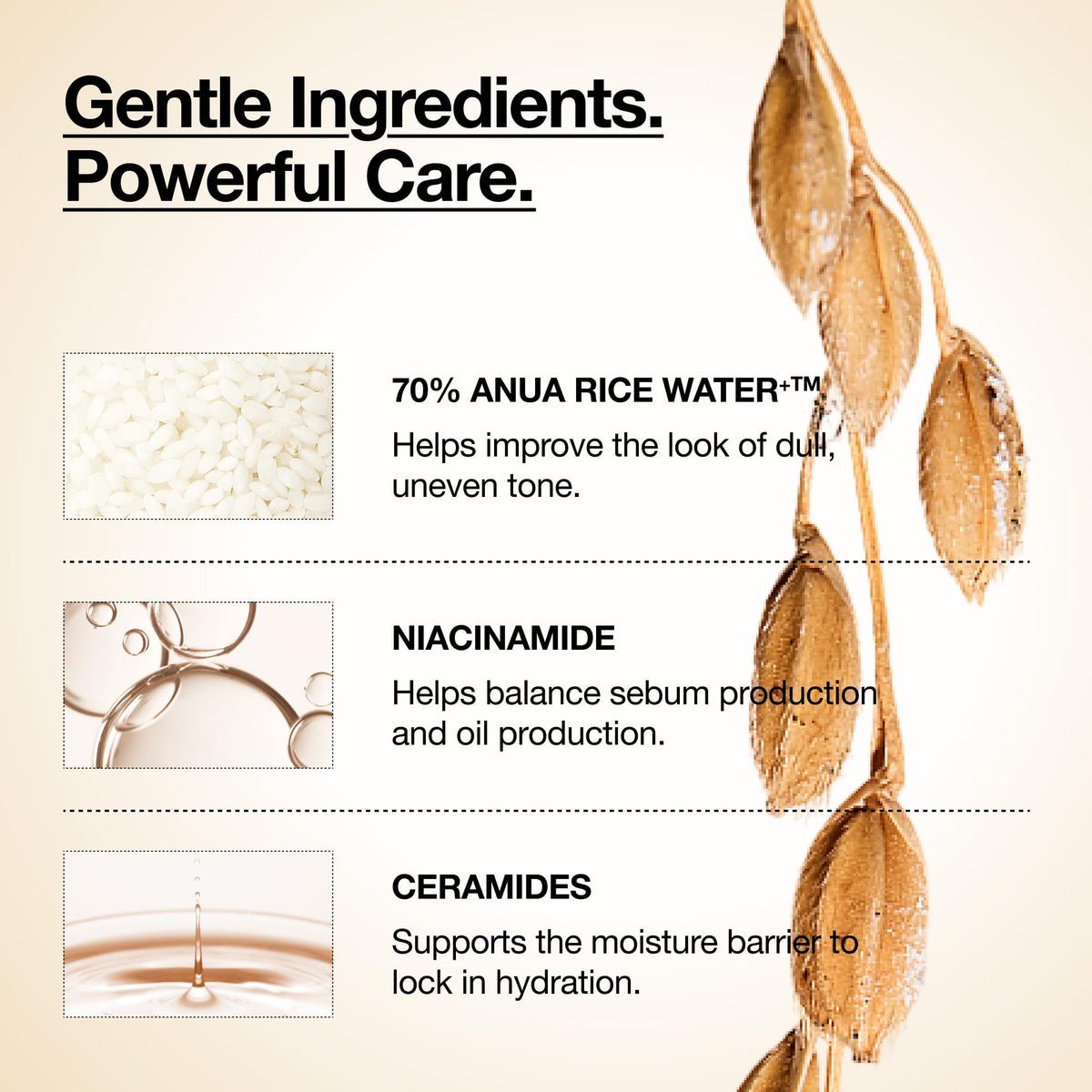 Anua Rice 70 Glow Milky Toner, Lightweight Rice Water and Ceramide Milky Face Toner for Glowing Skin, 250 mL