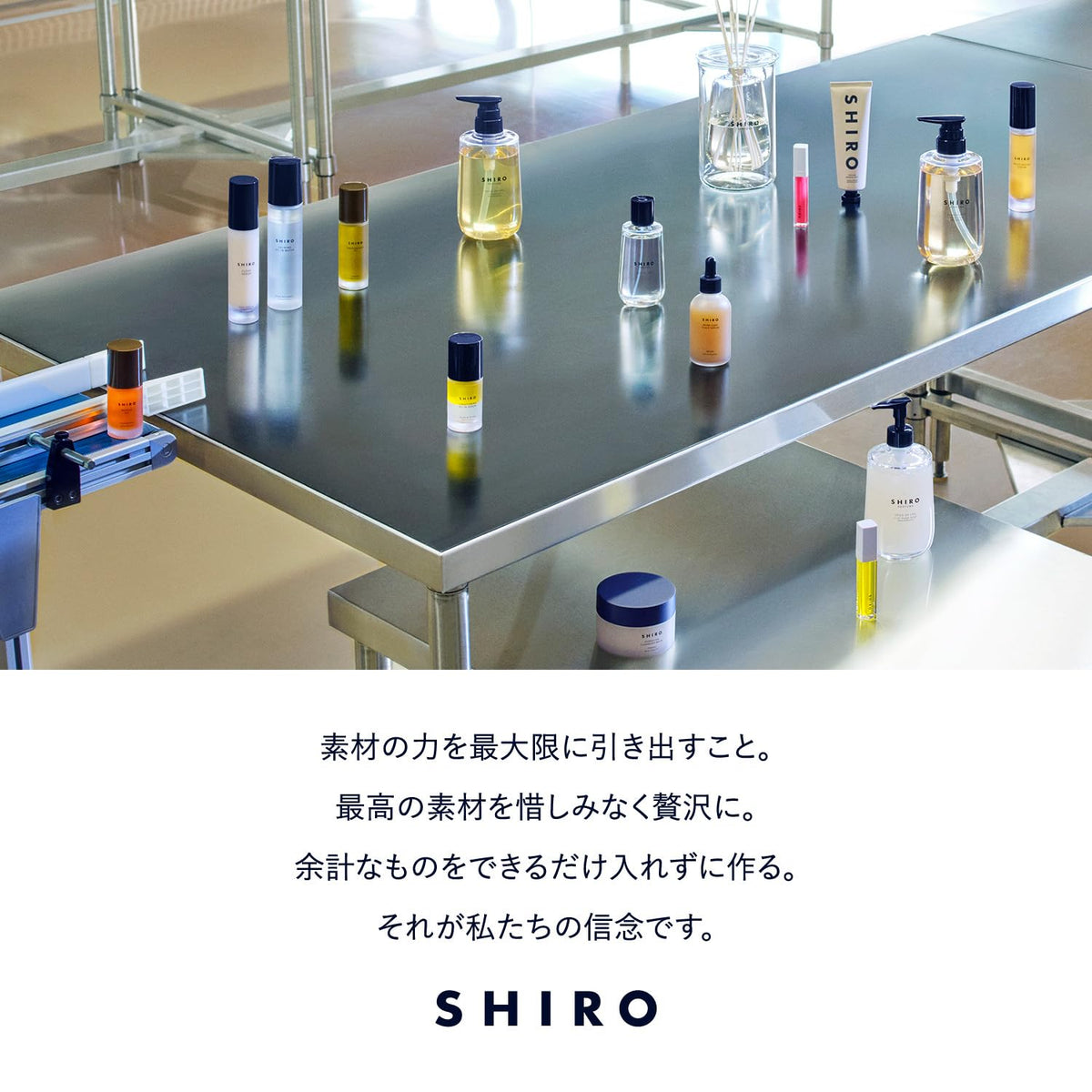 SHIRO White Tea Body Mist, Citrus Tea Fragrance Body Lotion Mist with Birch Sap Moisture, 100 ml