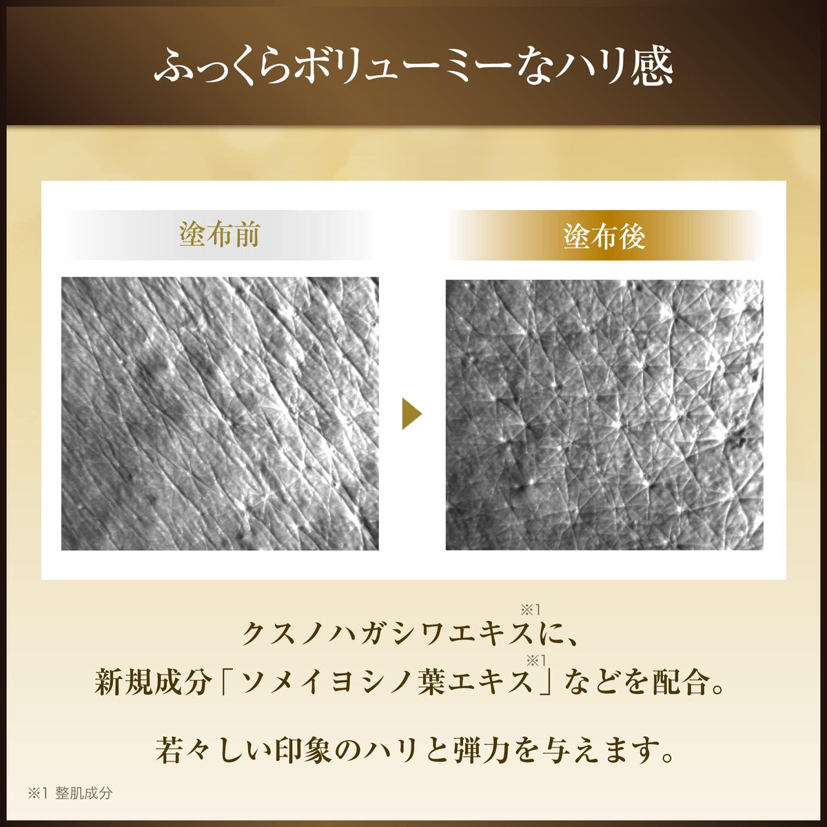 COVERMARK Cell Advanced Lotion WS