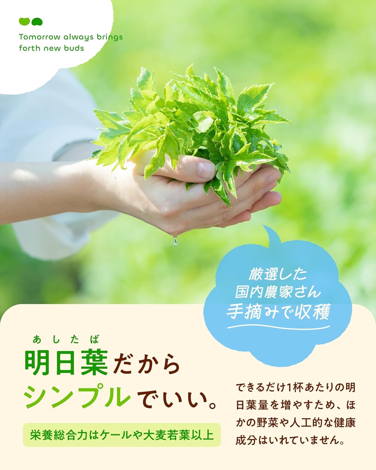 【Official】boco to deco (Tube Type) Green Juice Powder - Ashitaba - Drinkable by Children - Supports Those Who Dislike Vegetables or Have Picky Eating Habits - Dietary Fiber - Additive-Free