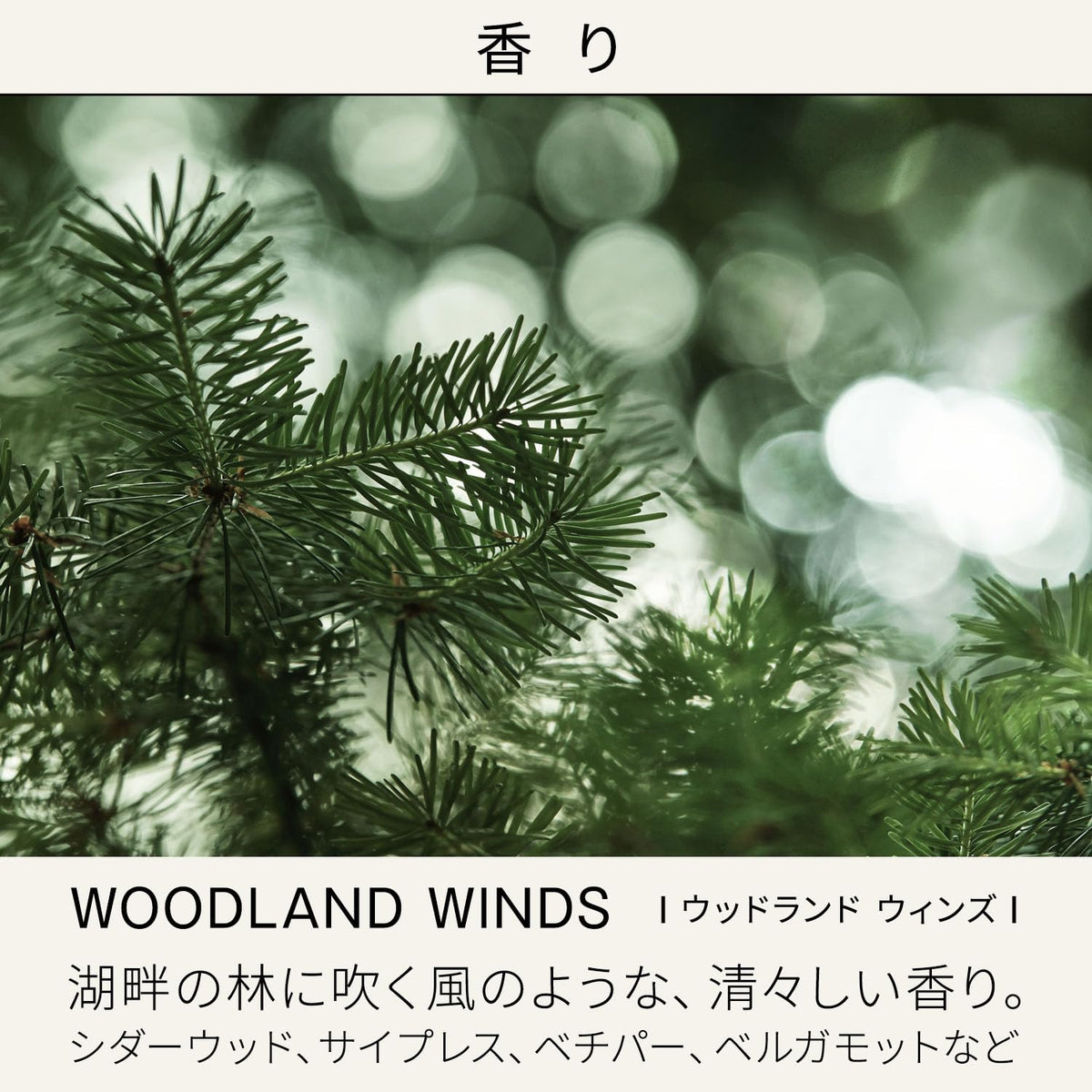 BAUM Moisturizing Emulsion n — Bottle or Refill, 100mL