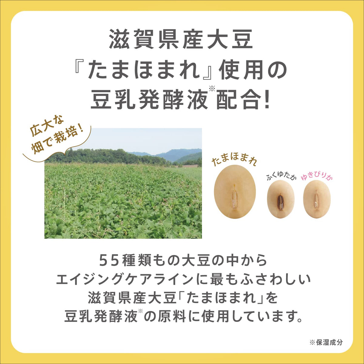Nameraka Honpo Wrinkle Gel Cream N All-in-One with Fermented Soy Milk, Pure Retinol and Soy Isoflavones, Aging Care, Fragrance-Free and Colorant-Free, 100 g