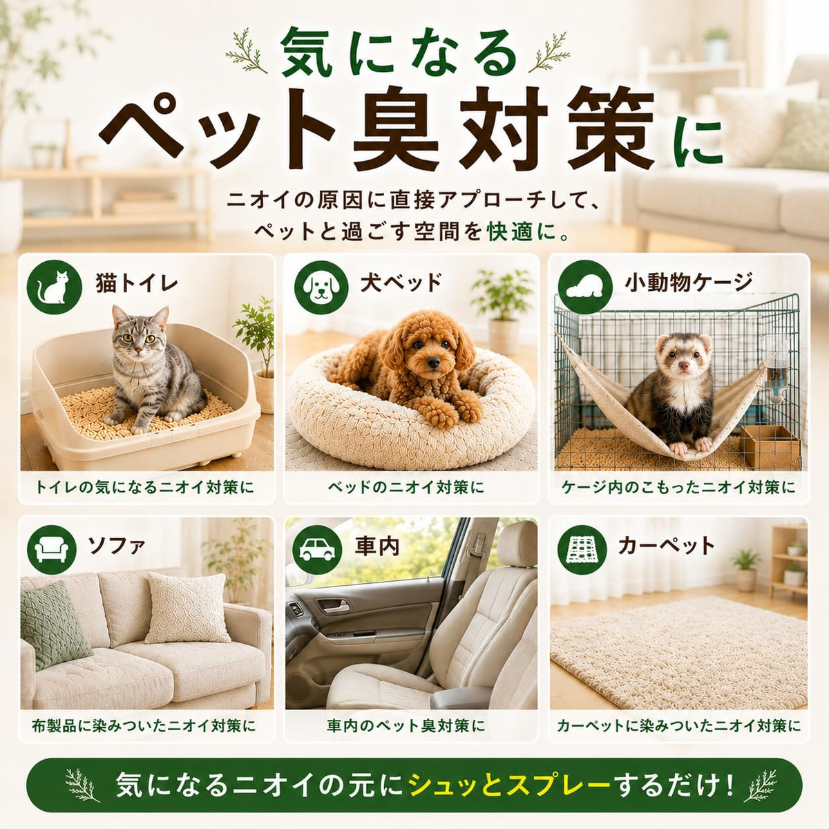 MASHUU For Pet Natural Hiba Deodorizing Spray, 100 mL