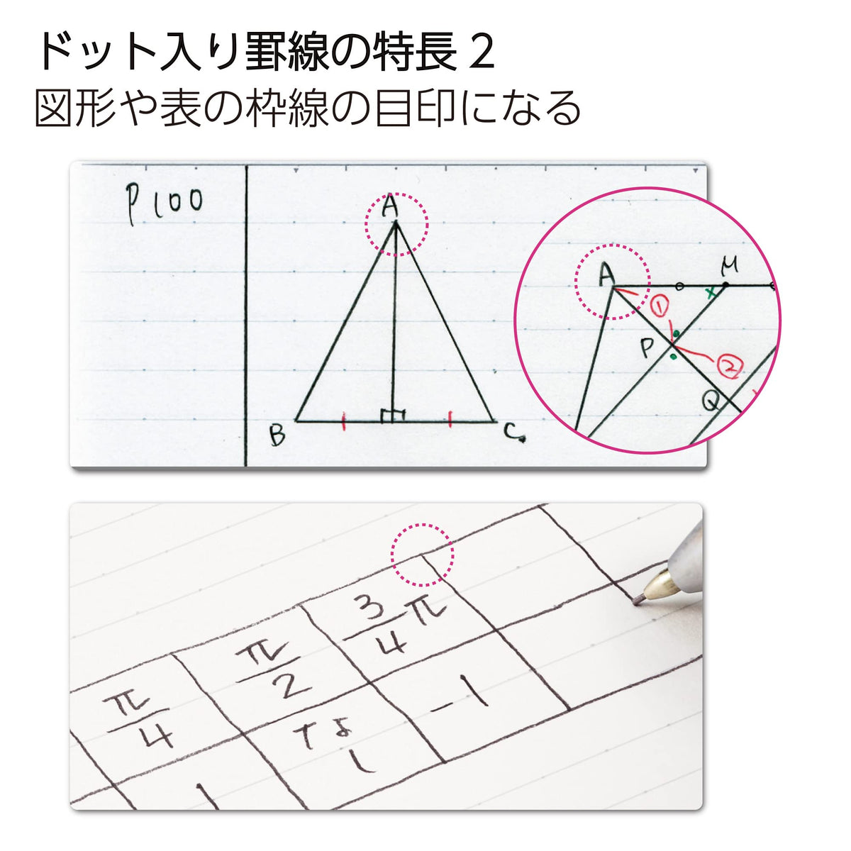Kokuyo Campus Notebook A4 No. 1, 297 x 210 mm, 30 Sheets Each, 7 mm A-Rule, Dotted A-Rule or B-Rule, Packs of 3 or 5 Books