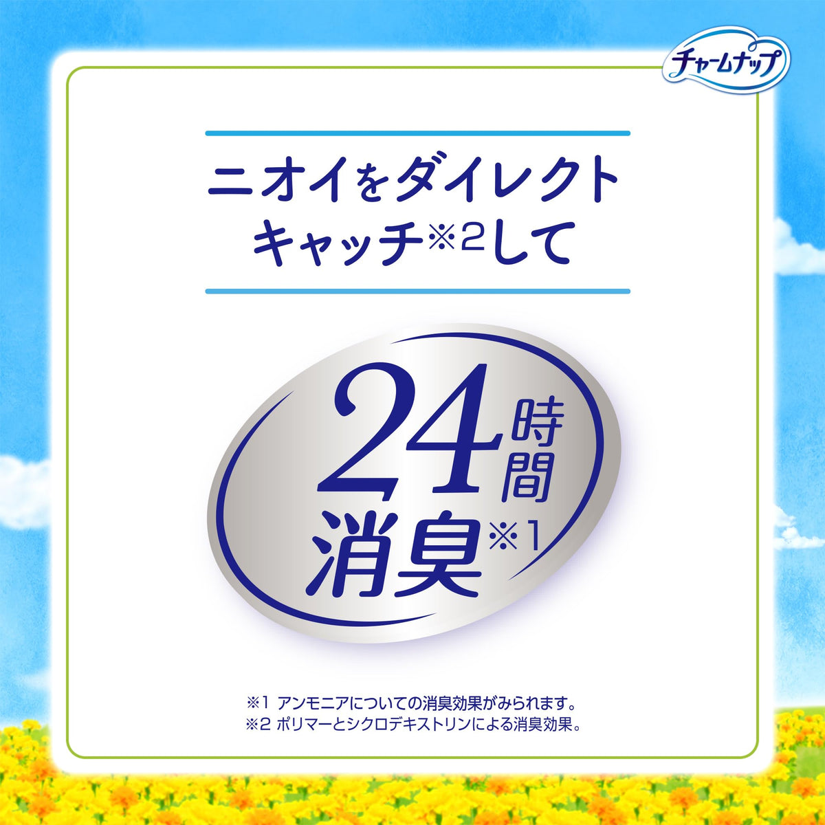 Charm Nap Absorbent Sarafi Long Pure Soap Scent liner detail