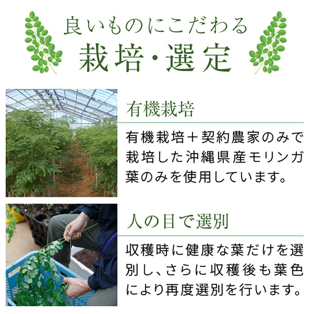 Moringa 100% Tablets, Okinawa-Grown Organic Moringa Leaf, Six Tablets a Day, 540 Tablets for About 3 Months