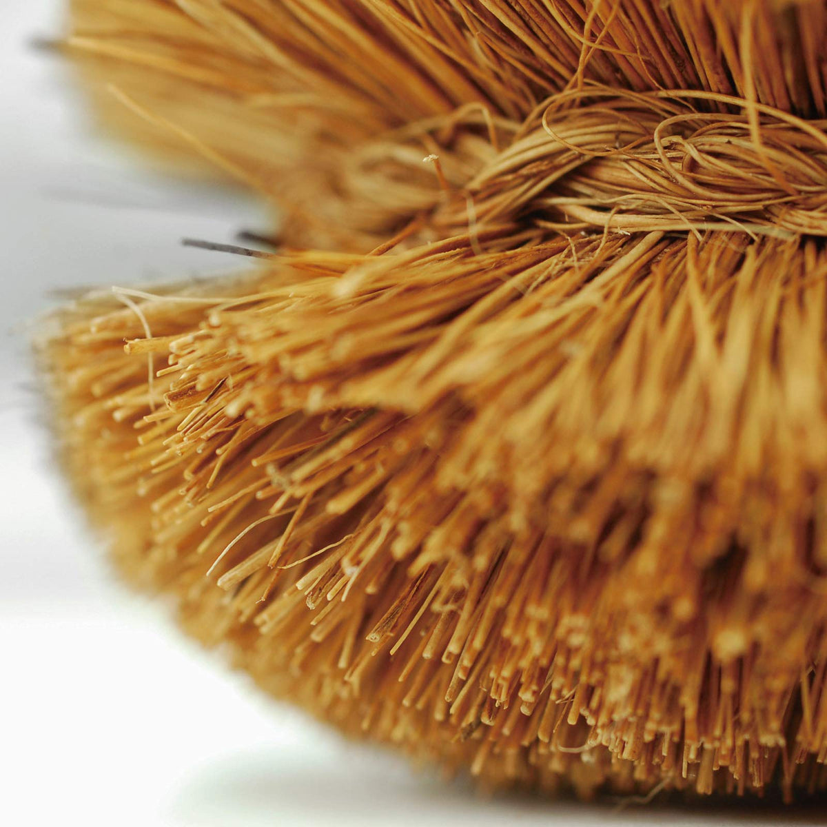 Kamenoko Tawashi Palm Chibikko P, Small Coir Palm Scrubber with a Hanging Ring for Dishes and Vegetables, 50 x 32 x 70 mm, 1 Piece or 2-Piece Set