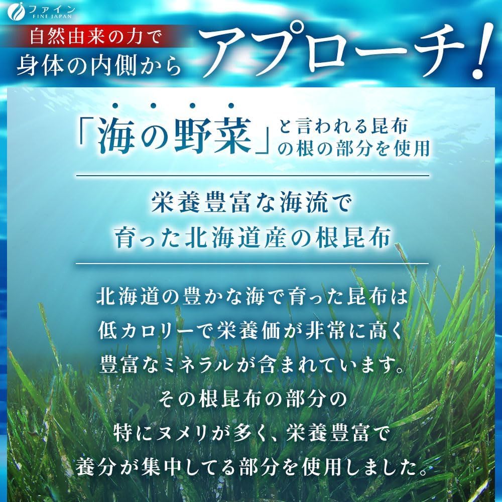 Fine Japan Kelp Root Extract Tablets with Mekabu Fucoidan, Hokkaido Kelp Root with Iodine, Iron and Magnesium, Lightly Salted, 500 Tablets for 50 Days
