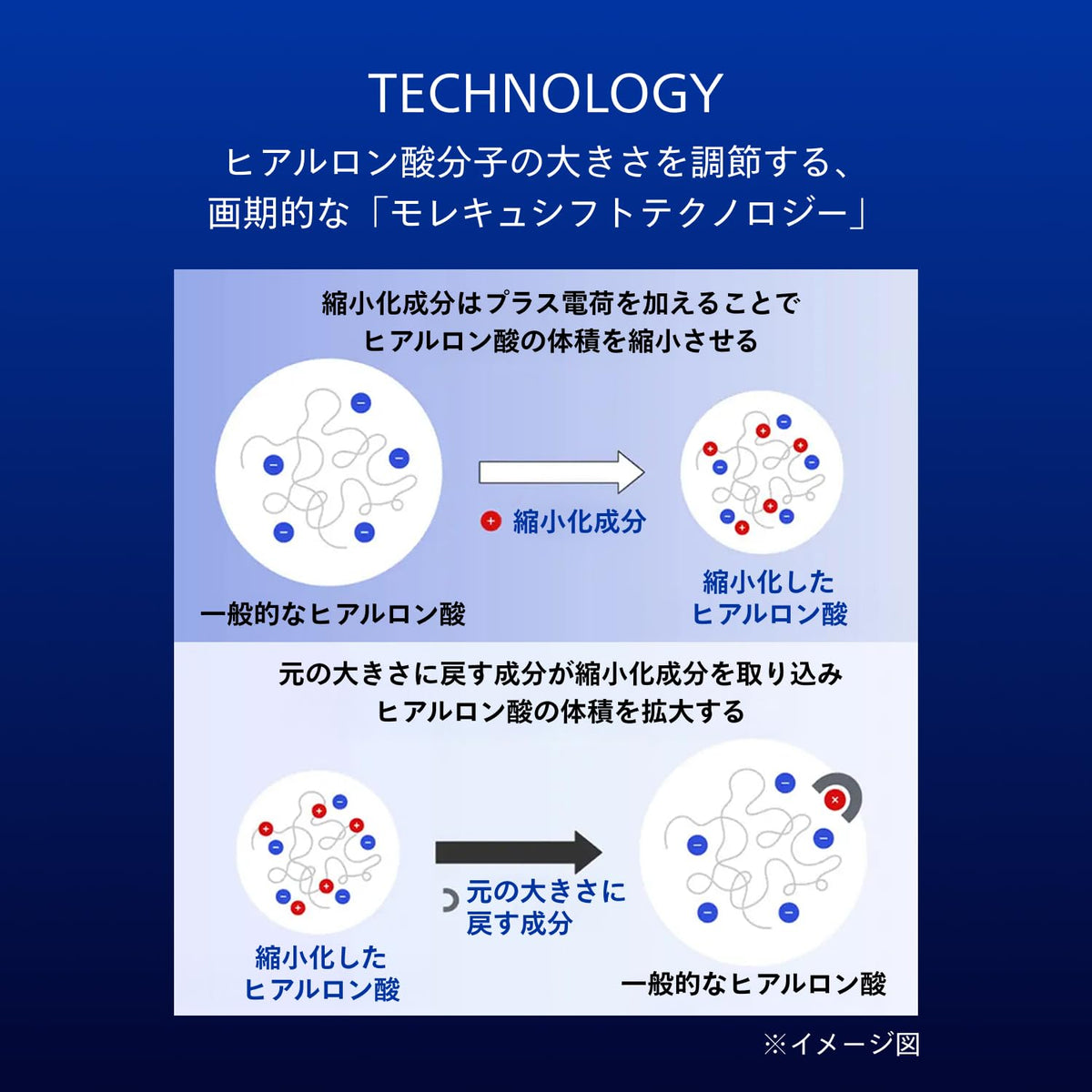 SHISEIDO BioPerformance Filler — Dual‑Phase Day/Night Hydration Matrix