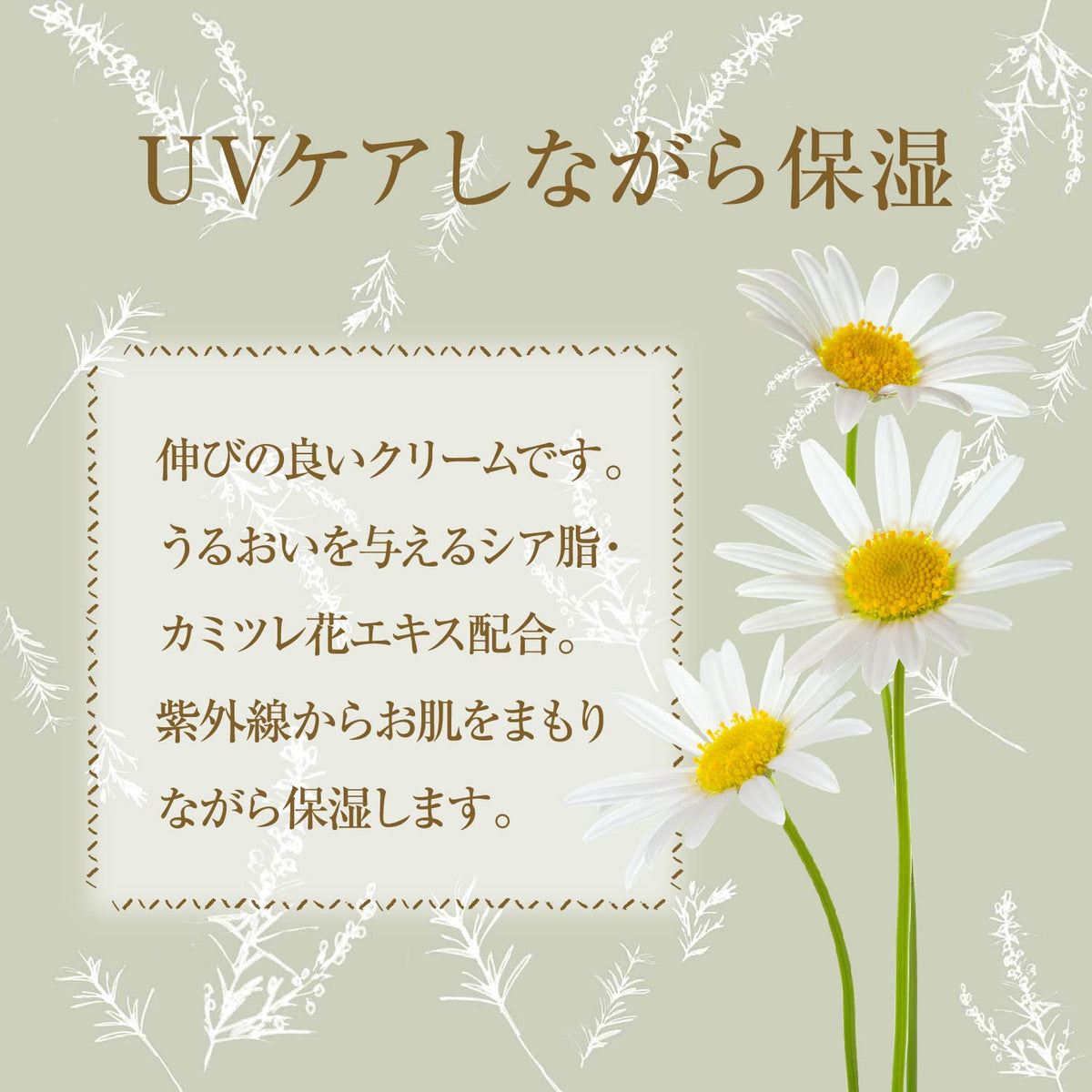 UV Cream SPF 30 PA++ Natural Sunscreen and Makeup Base 45 g