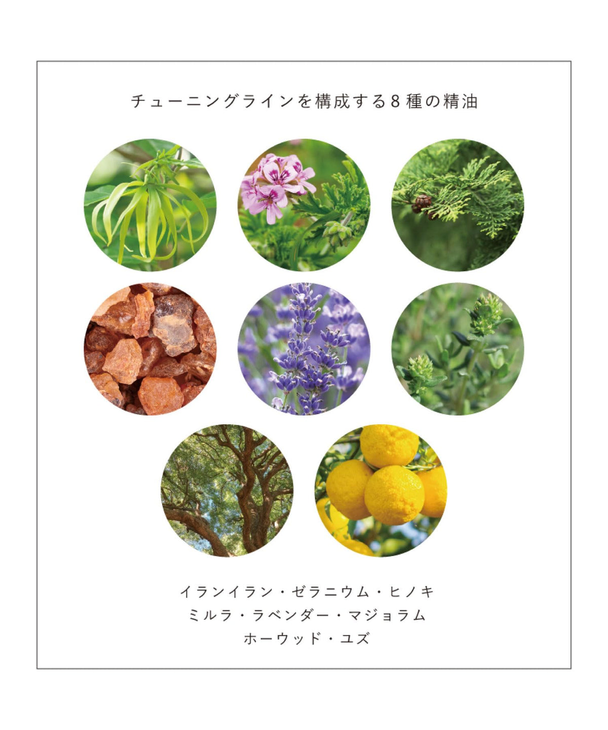 OSAJI Tuning Washing Foam 150 g, Weakly Acidic Face Wash with a Dense Soft Lather and Aromatic Woody Scent