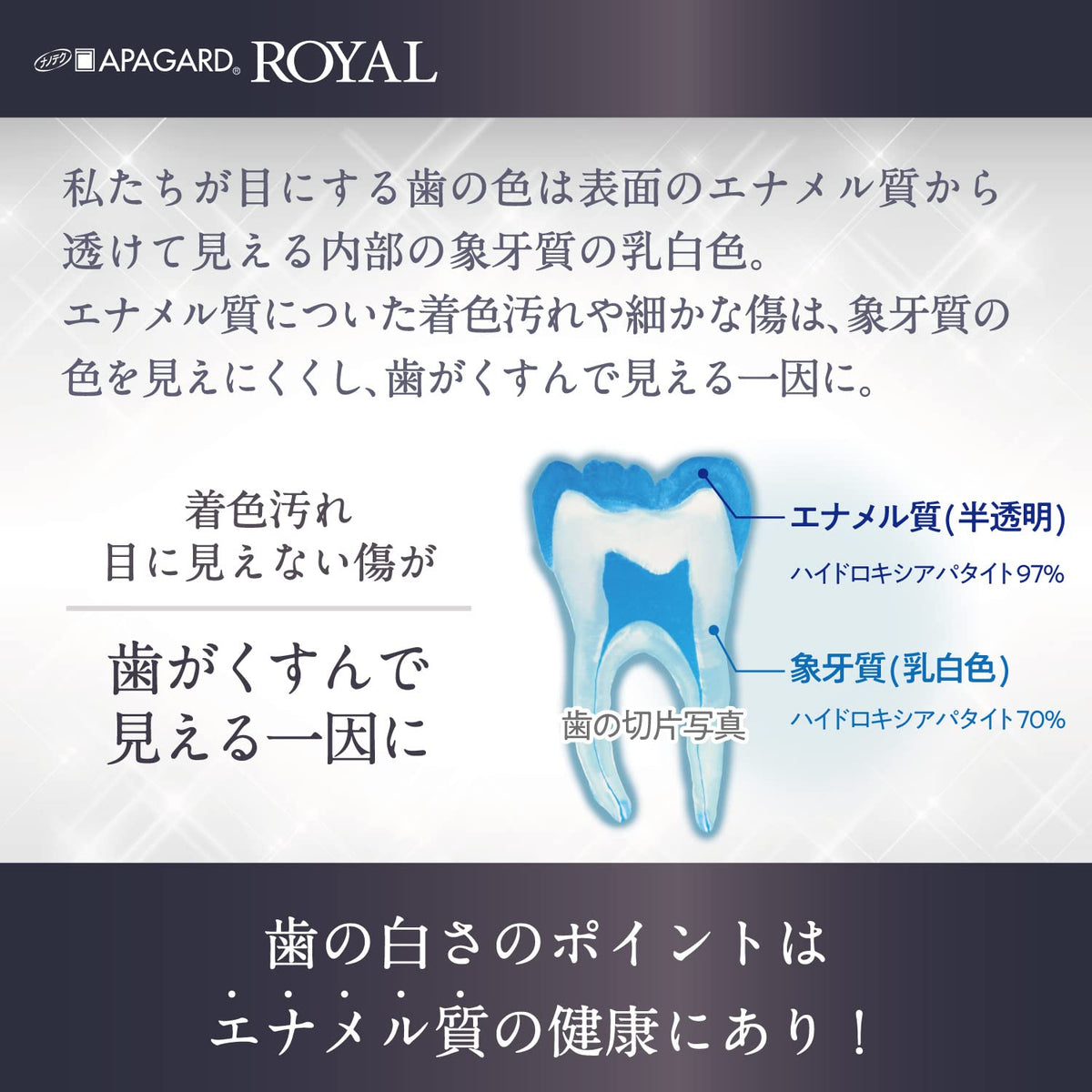 APAGARD Royal Medicated Hydroxyapatite Toothpaste, 135 g