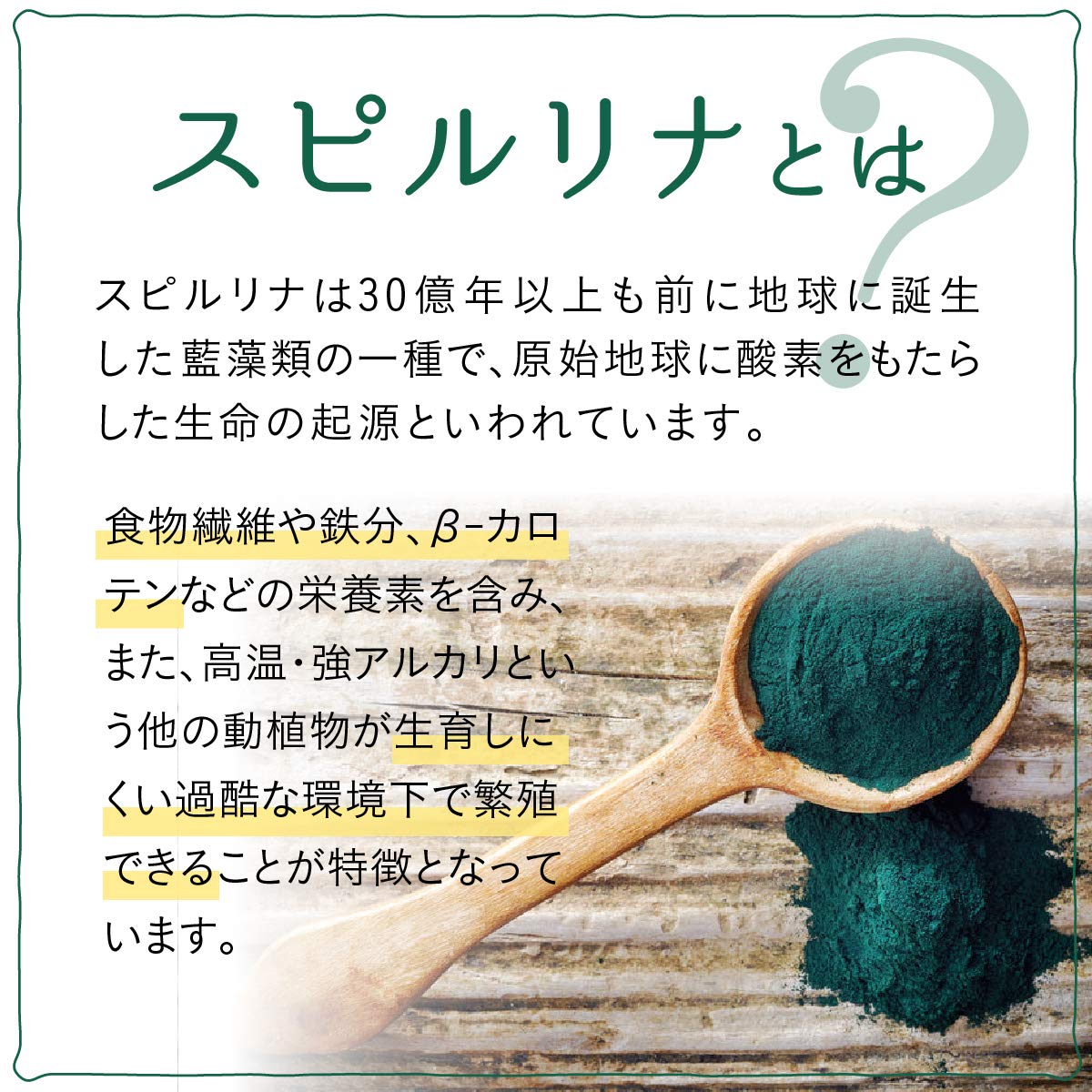 Spirulina, Lactic Acid Bacteria and Plant Enzyme Green Powder with Barley Young Leaf, Kale and Bitter Melon, 150 g