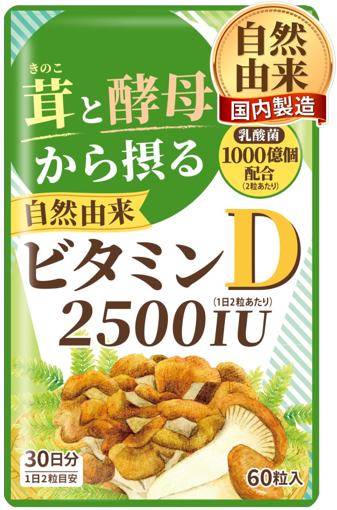 Mushroom and Yeast Vitamin D Supplement 2500 IU with 100 Billion Lactic Acid Bacteria, 2 Pouches of 60 Tablets for 60 Days, Made in Japan
