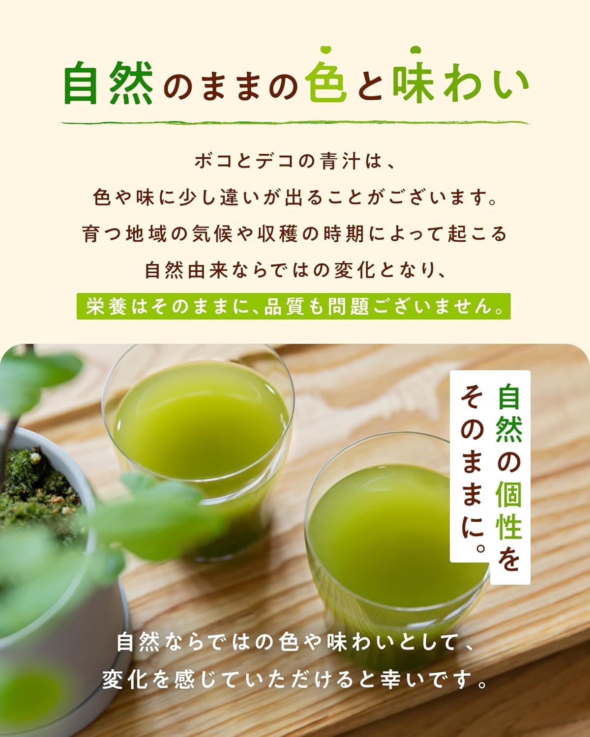 【Official】boco to deco (Tube Type) Green Juice Powder - Ashitaba - Drinkable by Children - Supports Those Who Dislike Vegetables or Have Picky Eating Habits - Dietary Fiber - Additive-Free
