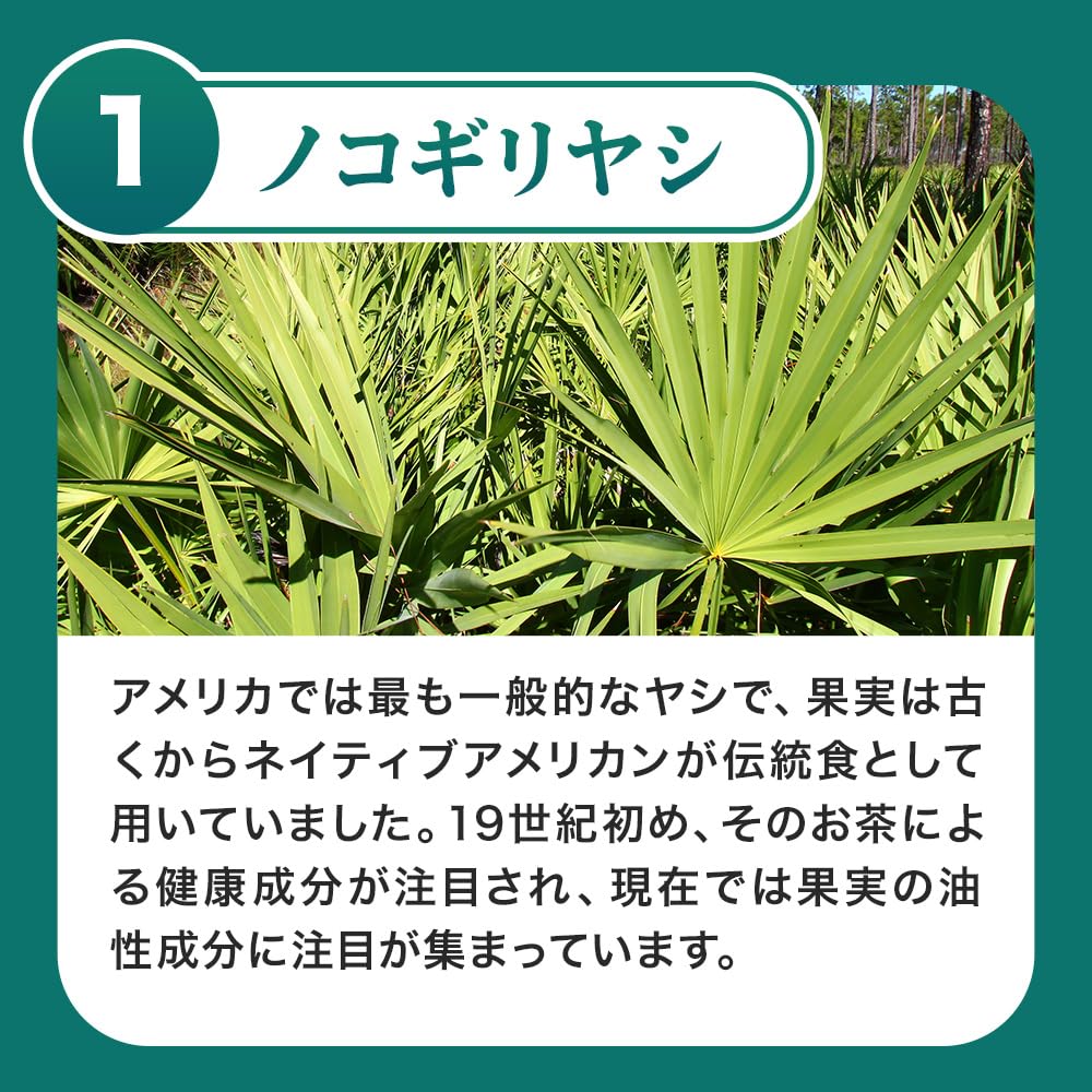 Saw Palmetto Soft Capsules with Pumpkin Seed Oil, Seaberry Oil and Chomeiso, 90 Capsules for About 3 Months