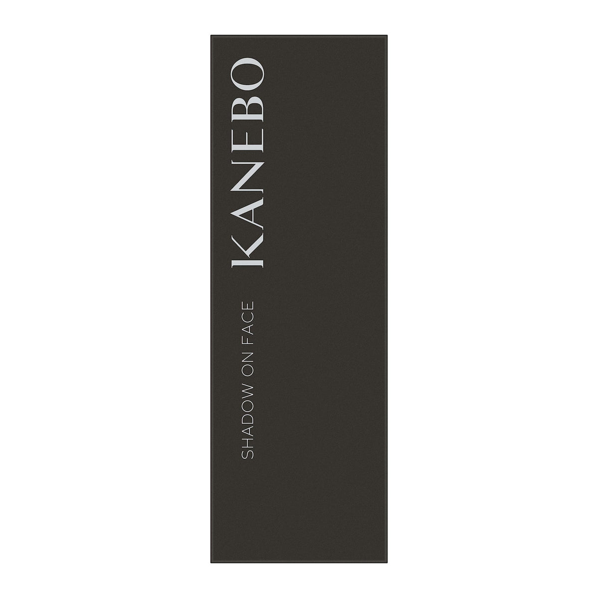 Kanebo Shadow On Face Stick, 01 Gimmick Taupe, 2.5 g