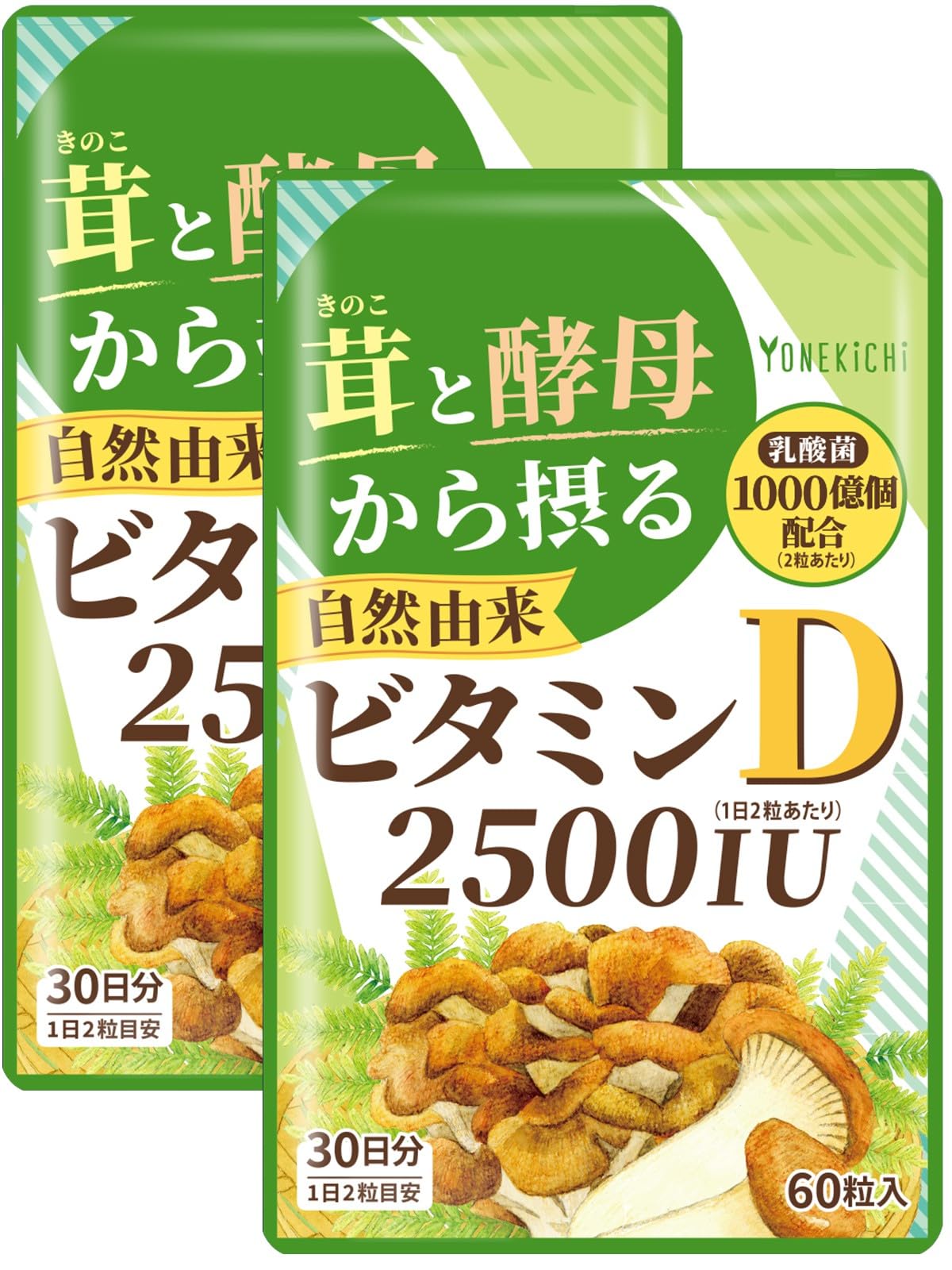 Mushroom and Yeast Vitamin D Supplement 2500 IU with 100 Billion Lactic Acid Bacteria, 2 Pouches of 60 Tablets for 60 Days, Made in Japan