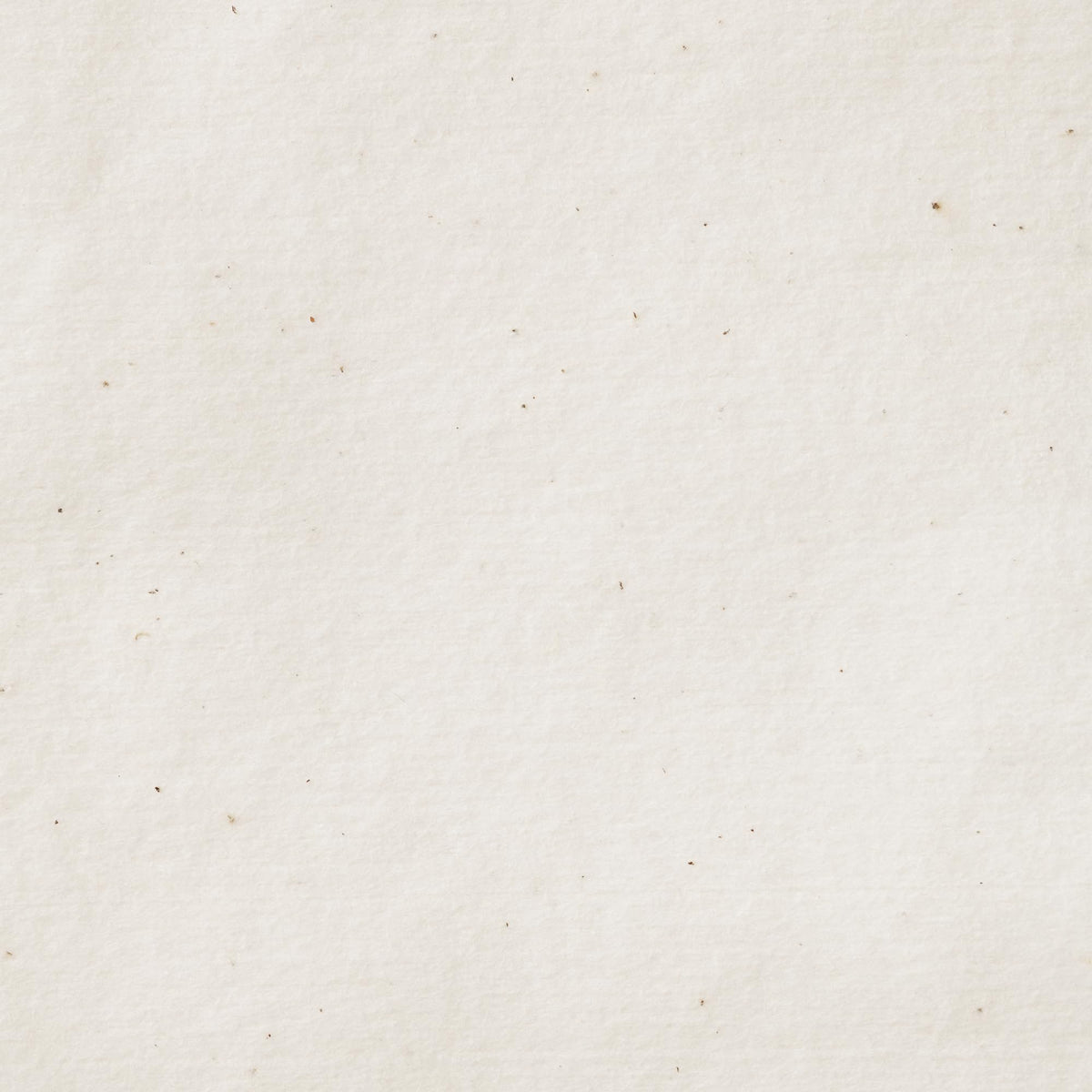 Muji Unbleached Cotton Face Towel, 60 Disposable Cotton Sheets of About 20 x 20 cm, 100 Percent Cotton