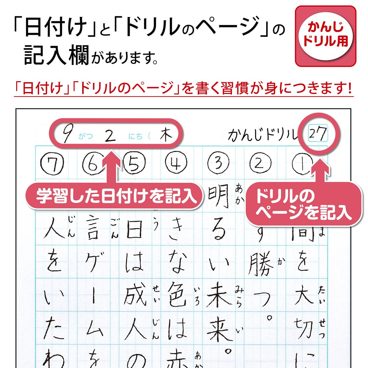 Kyokuto College Animal Kanji Practice Notebook, B5 with 84, 104, 120, 150 or 200 Character Ruling, 30 Sheets, 252 x 179 mm, Animal Cover, 1 or 10 Books