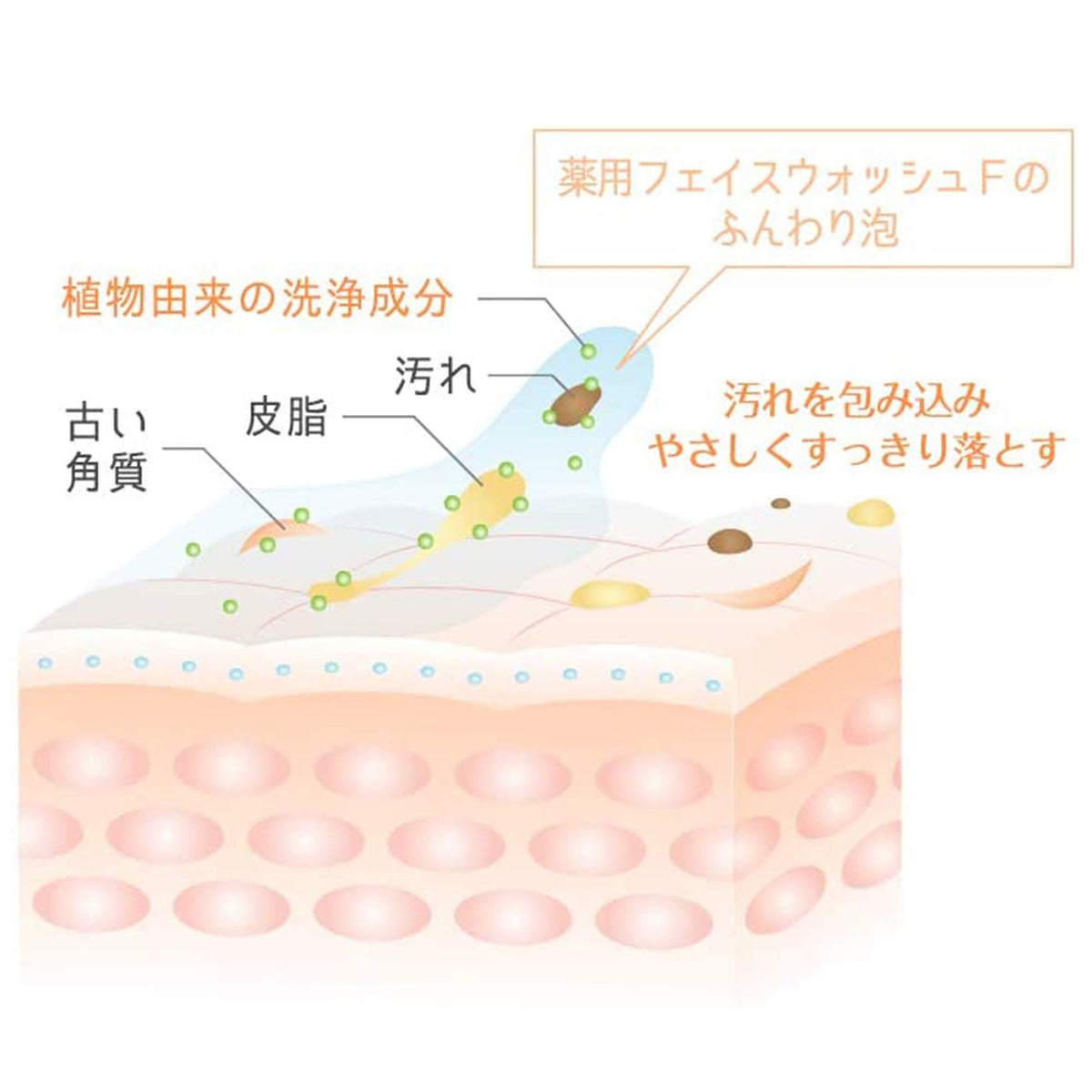 ROHTO Atorrege AD+ Face Wash F